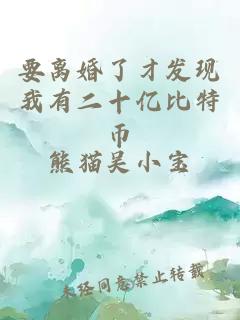 要离婚了才发现我有二十亿比特币